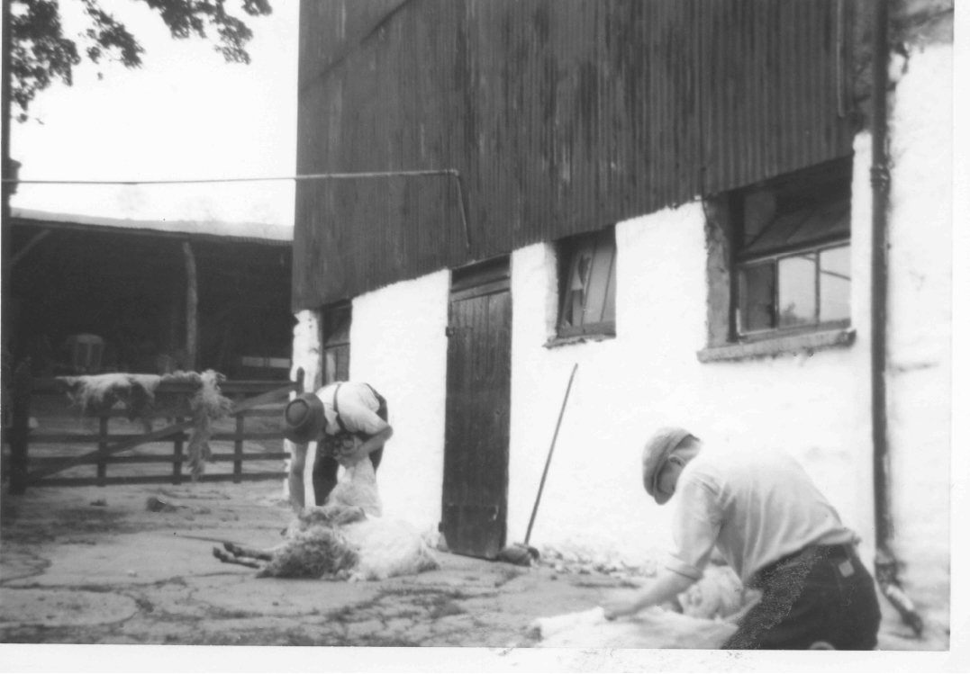 The slate-and-timber butchery, salt marsh lamb in season, Cumbrian beef and pork on the bench.